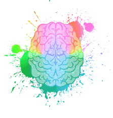 Brain with multiple colors